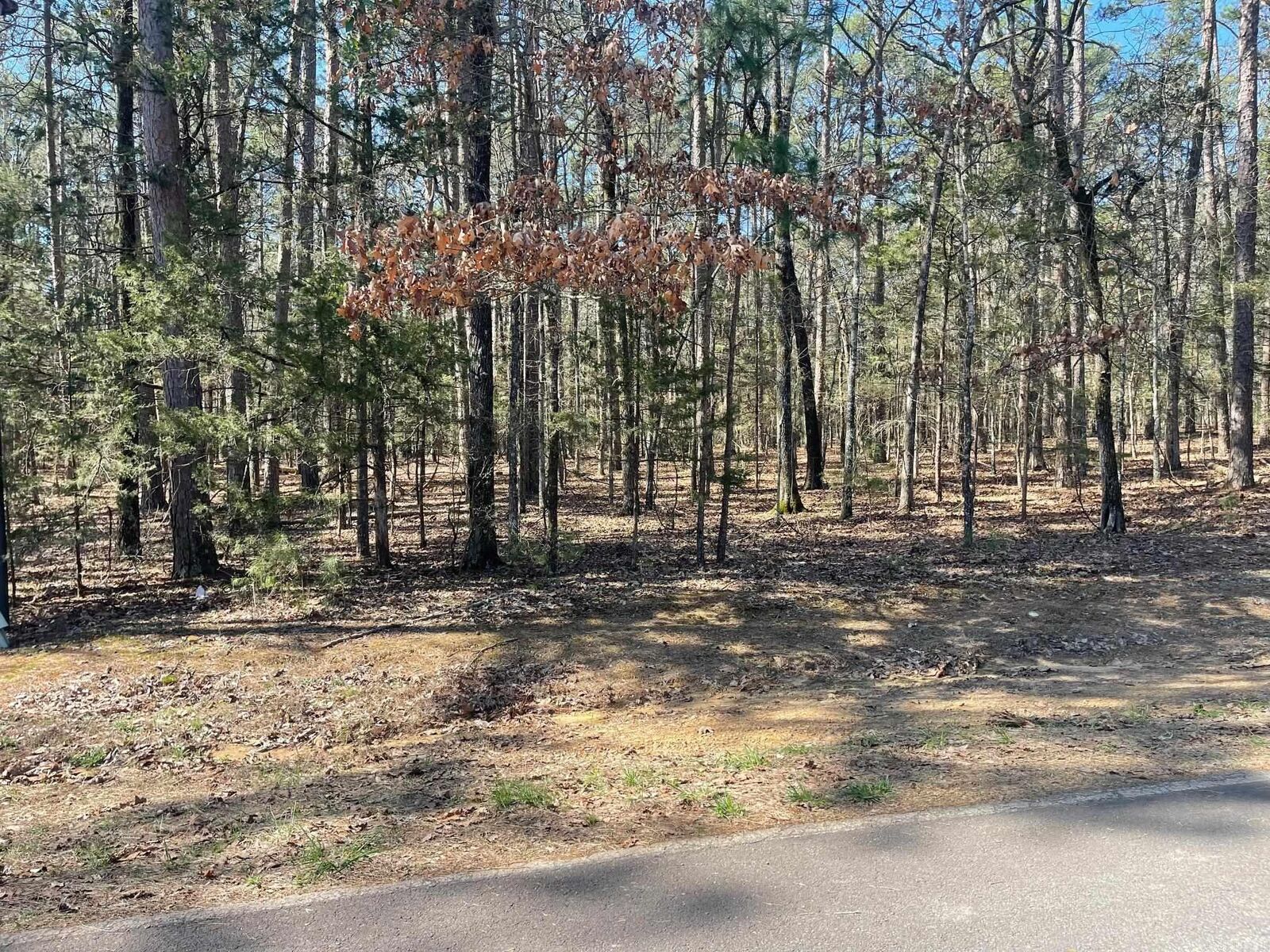 Property Photo: 000 Santa Lucia Drive AR 72088