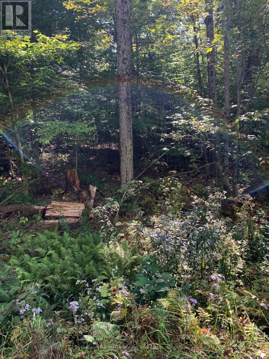 Property Photo: 0 Ahmic Lake Road ON P0A 1P0