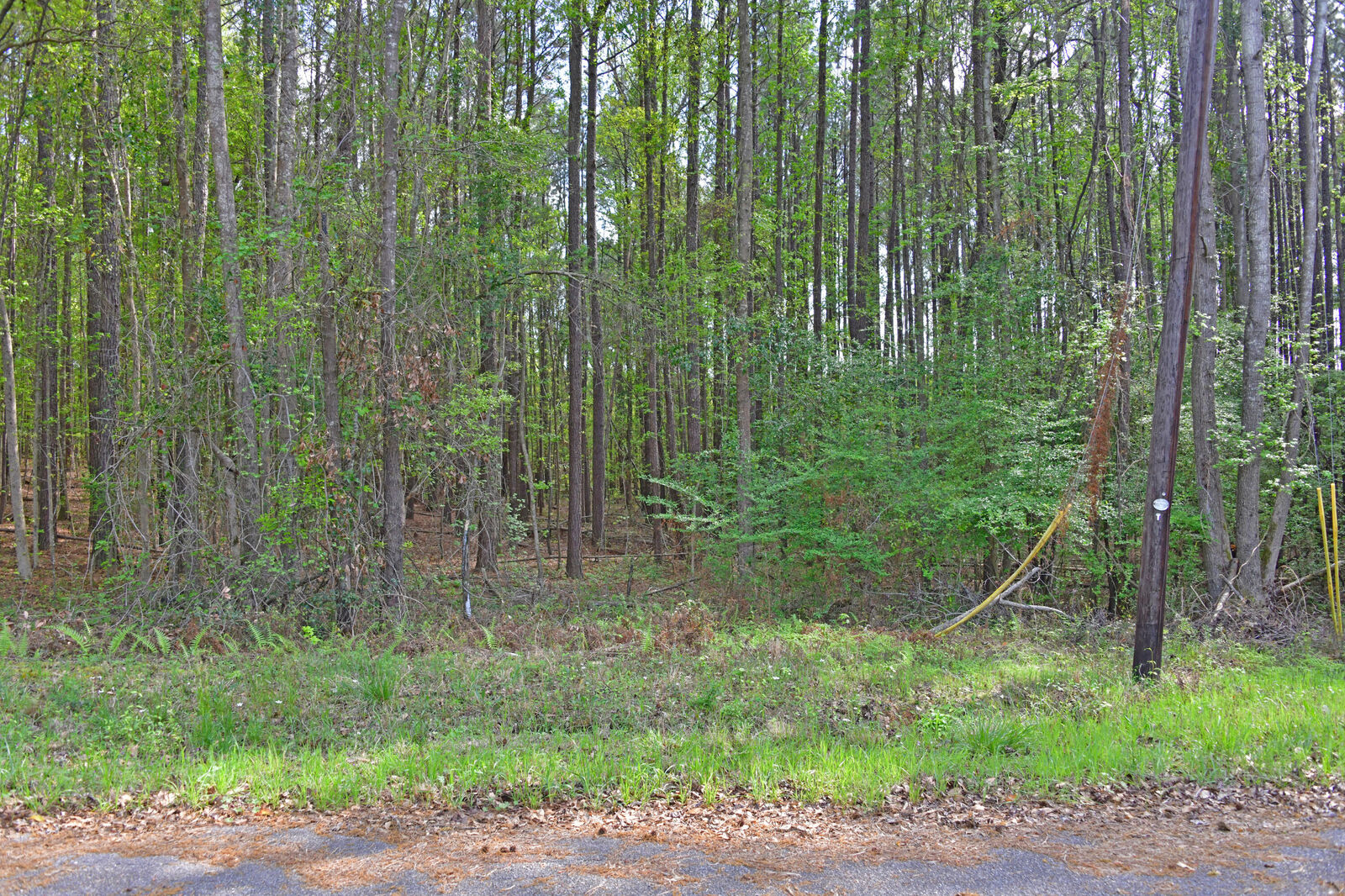 Property Photo:  0 Ridgelake(Lot 29) Circle  SC 29135 