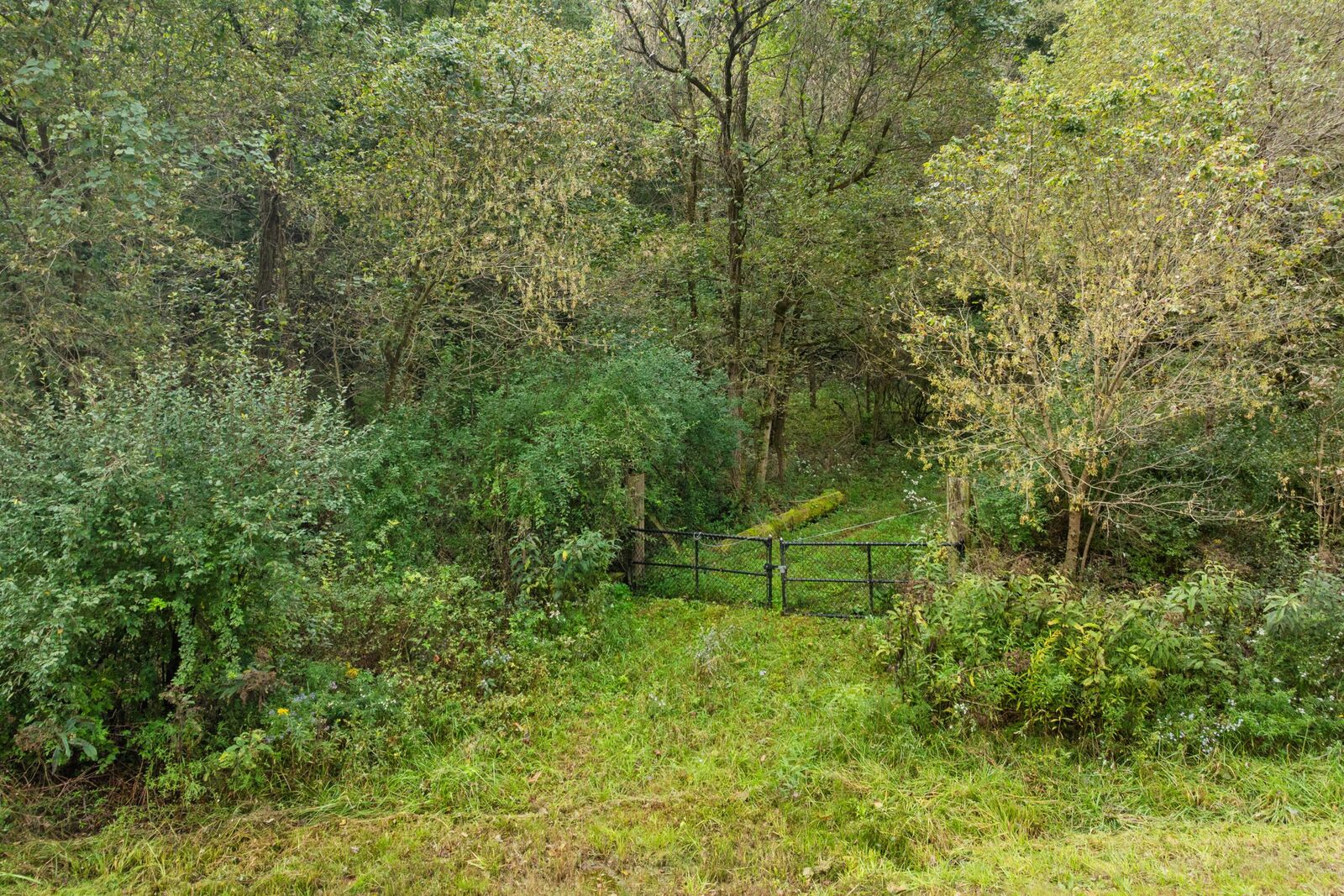 Property Photo:  0 Township Rd 329  OH 43730 