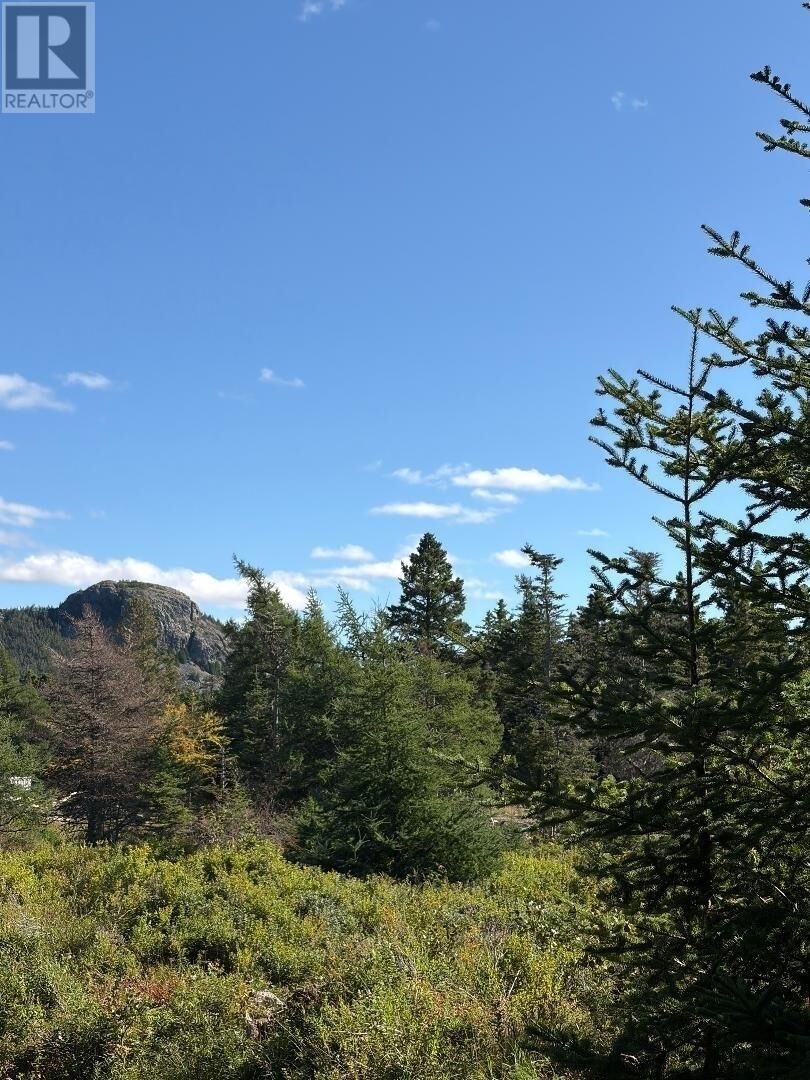 Property Photo:  52 Barry's Island North  NL A0A 1B0 