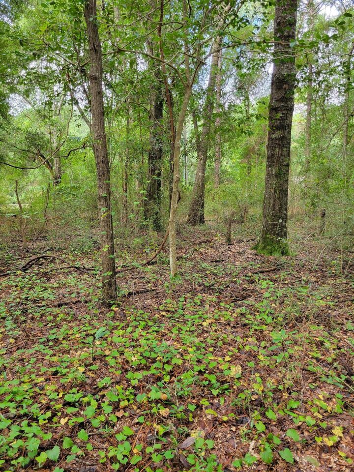 Property Photo:  204 Shell Drive  FL 32536 