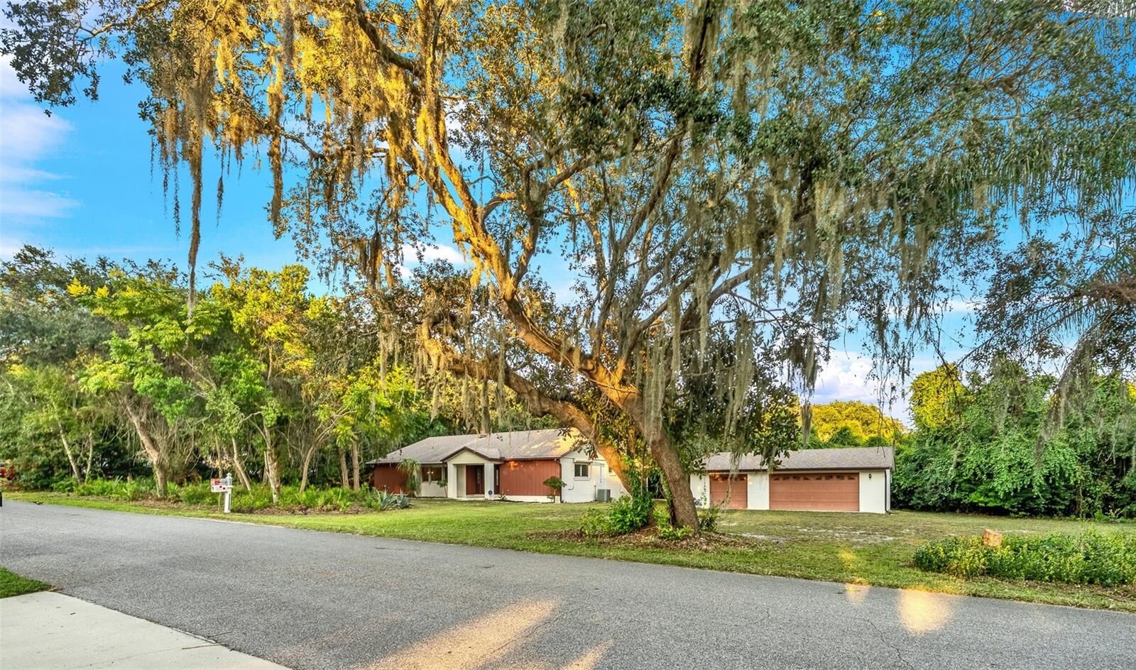 Property Photo:  245 Agua Vista Street  FL 32713 