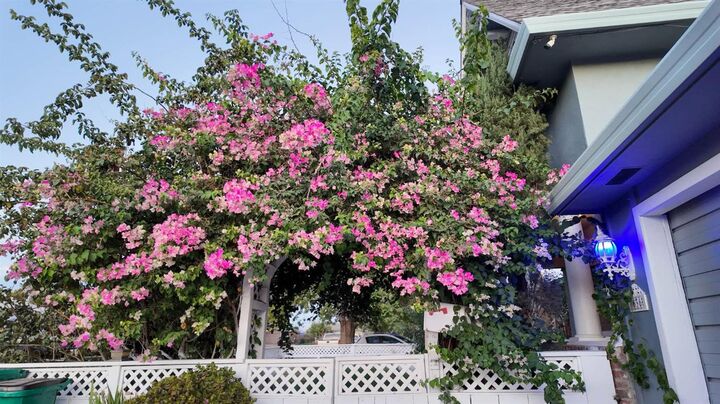 Property Photo:  636 Joaquin Street  CA 95240 