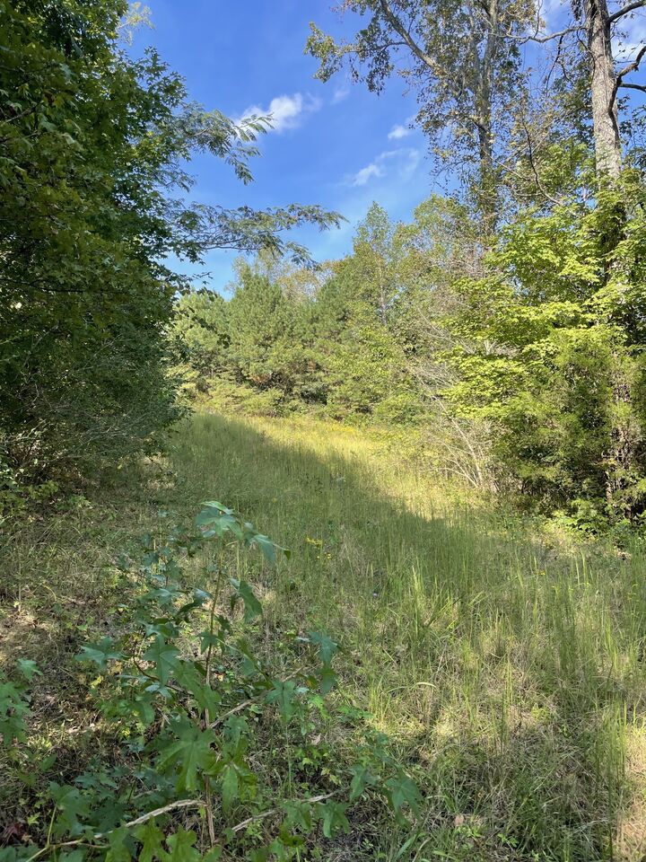 Property Photo: 3130 Harrison Pike TN 37311