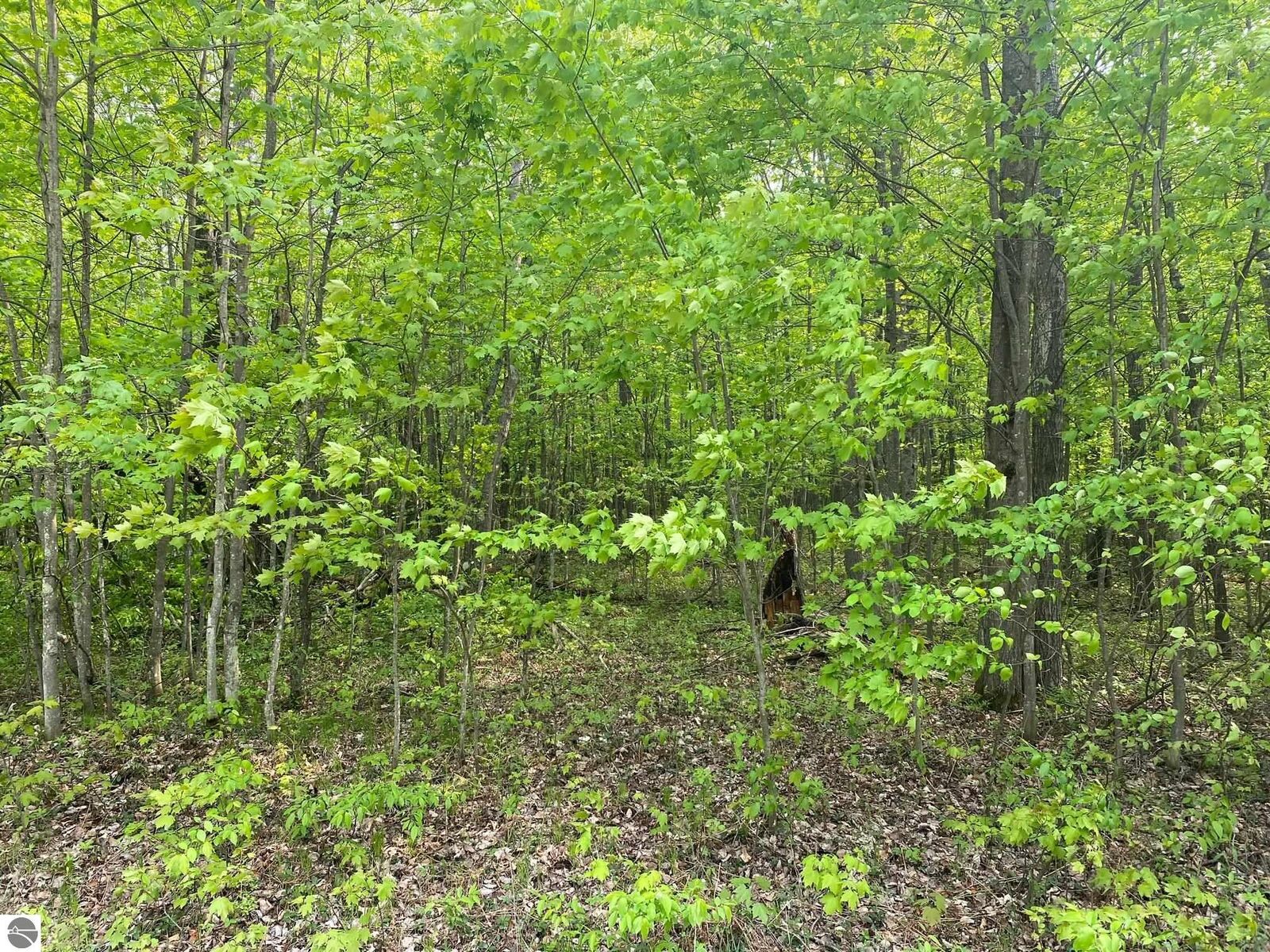 Property Photo:  Fribourg Drive  MI 49677 