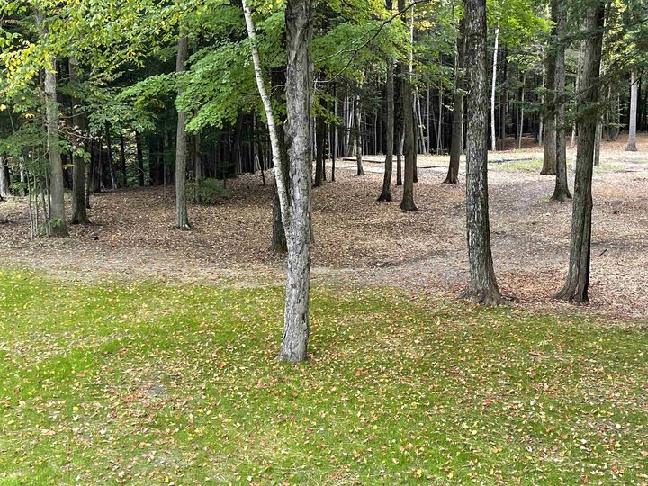 Property Photo:  66 Saltmarsh Pond Road  NH 03249 