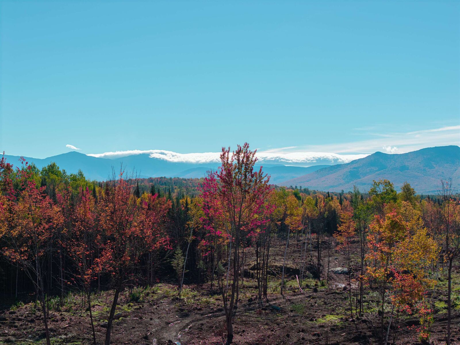 Property Photo:  24 Franklin Lane  NH 03598 