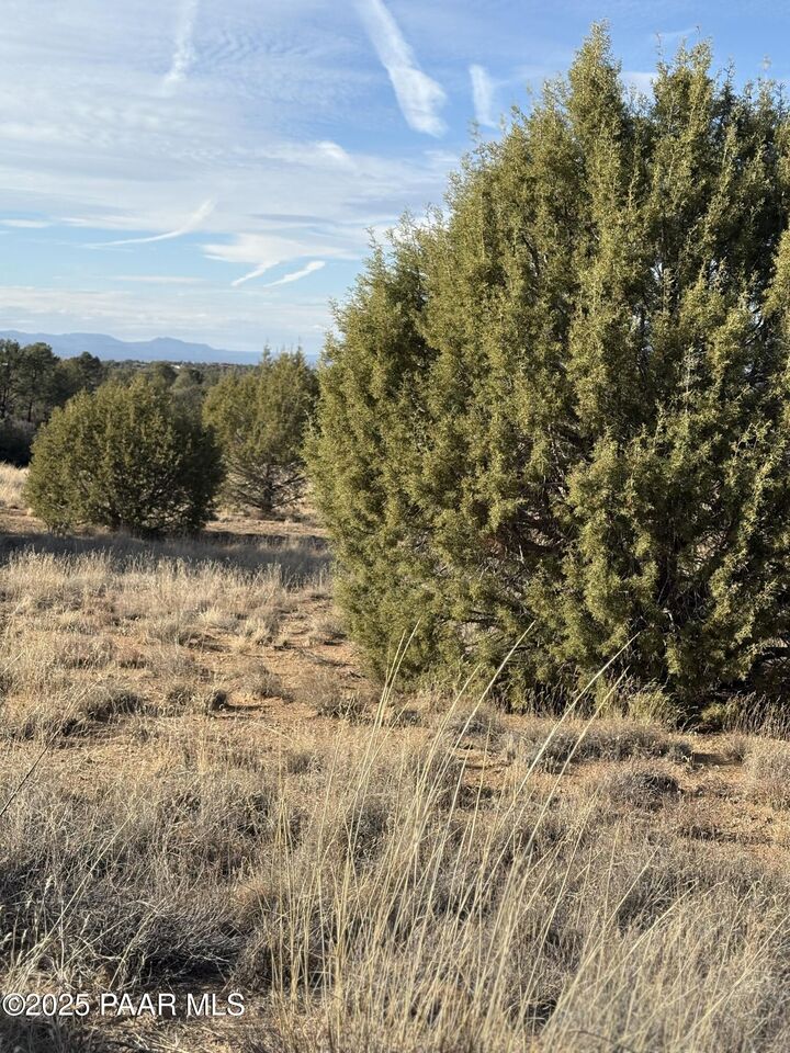 Property Photo:  000 W Young Road  AZ 86305 