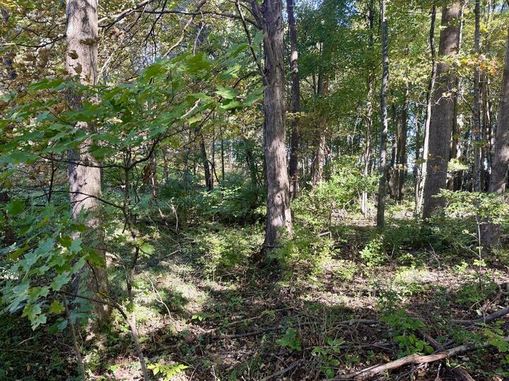 Property Photo: 0 Washington OH 45133