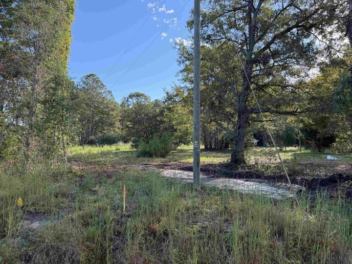 Property Photo: Tract 2 Wise Rd. SC 29526