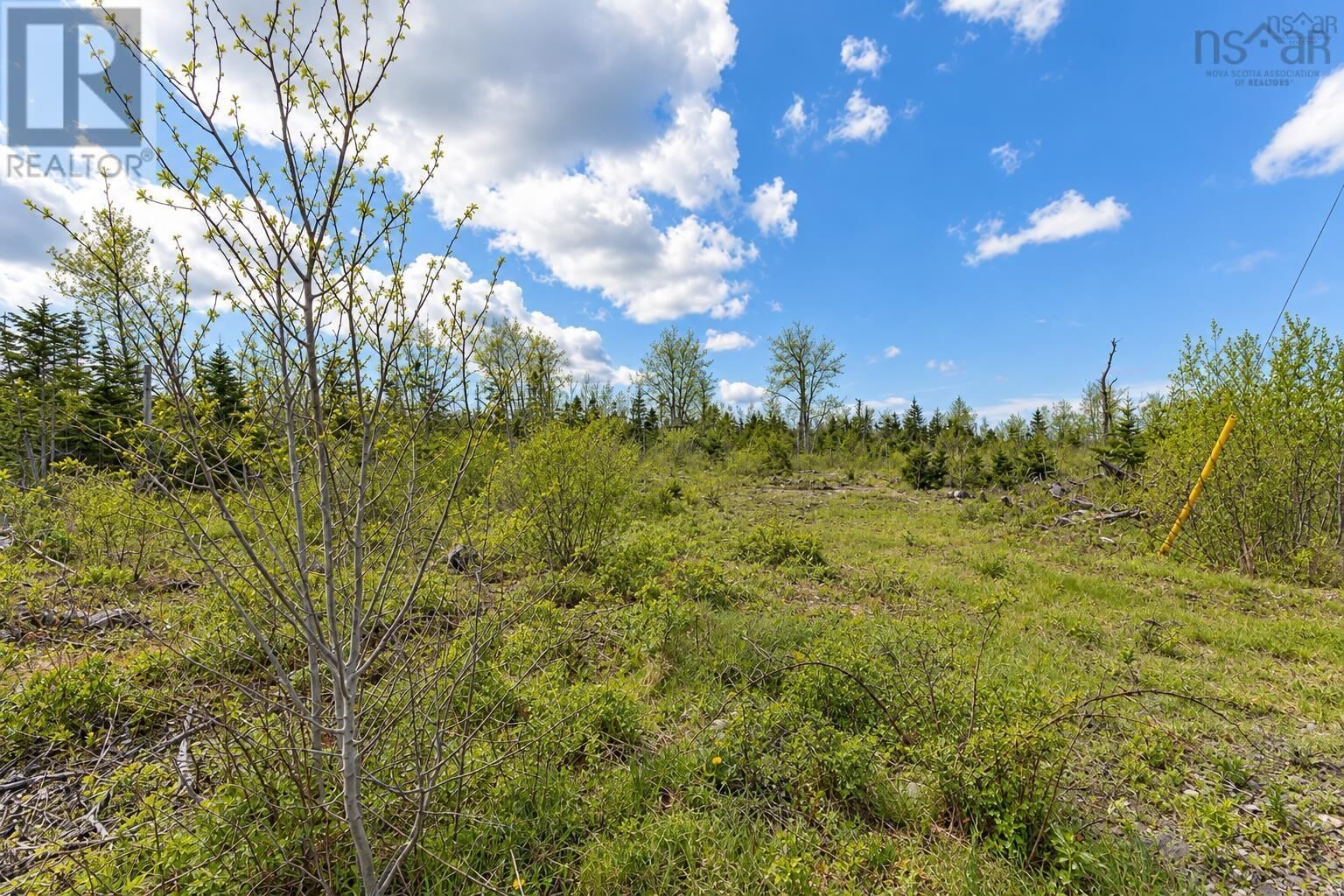 Property Photo:  Vl Shore Road  NS B0K 1H0 