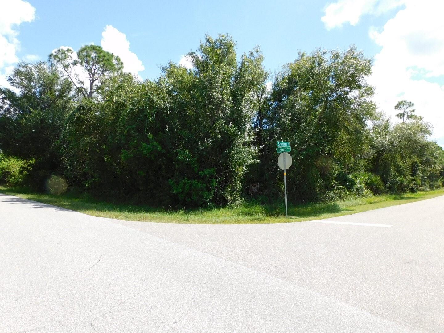 Property Photo:  1158 Shetland Street  FL 33980 