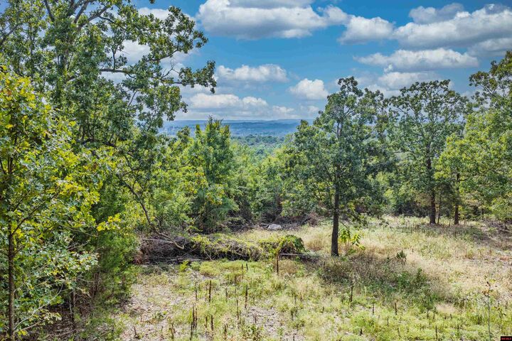 Property Photo:  Lot 23 And 24 Summit Drive  AR 72653 