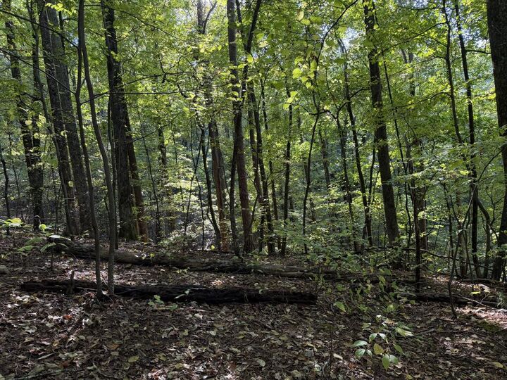 Property Photo:  J349 Mountainview Court  GA 30540 