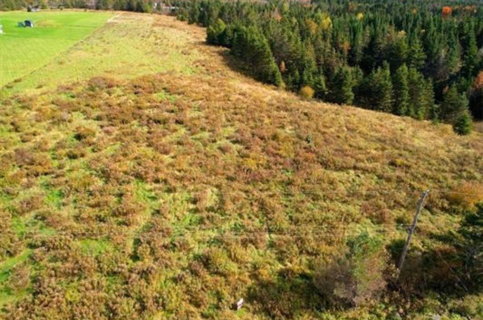 Property Photo:  Lots Old East Mountain Road  NS B6L 2L3 
