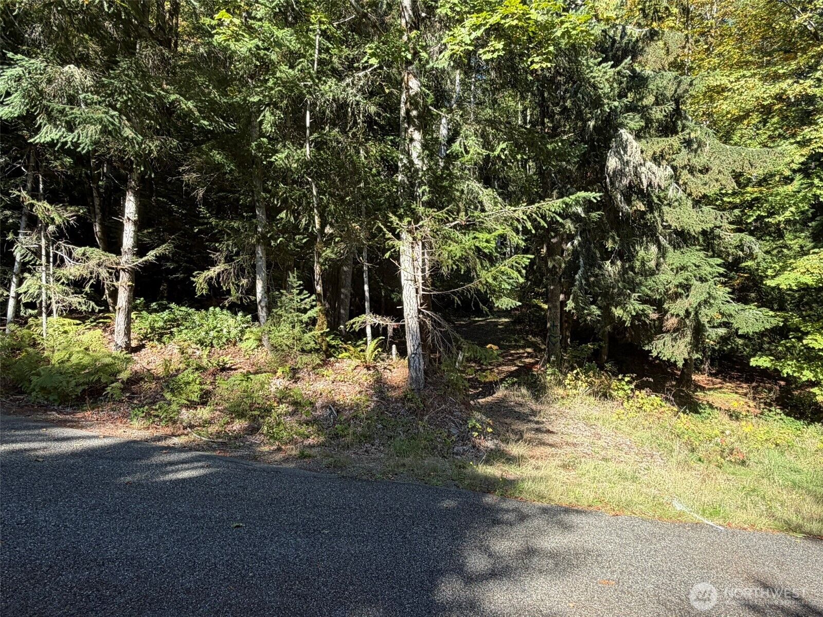 Property Photo:  420  Arabian Drive  WA 98320 