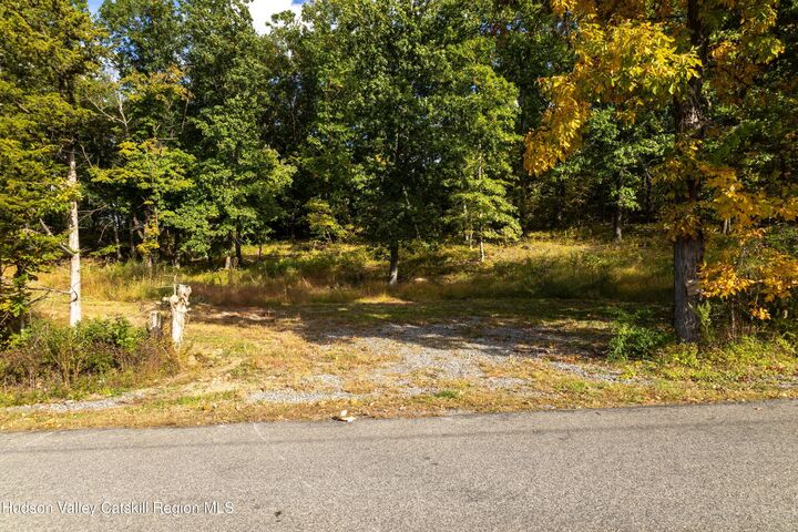 Property Photo: 0 Lot 3 Taghkanic Churchtown NY 12521