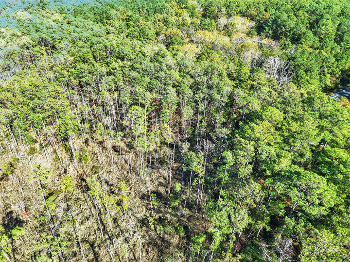 Property Photo:  Lot 42 Parkers Landing  VA 23421 