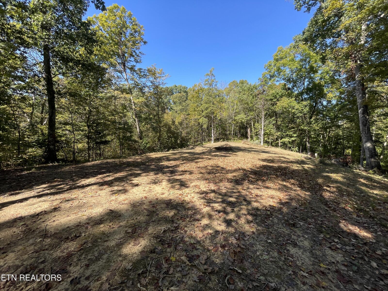 Property Photo:  