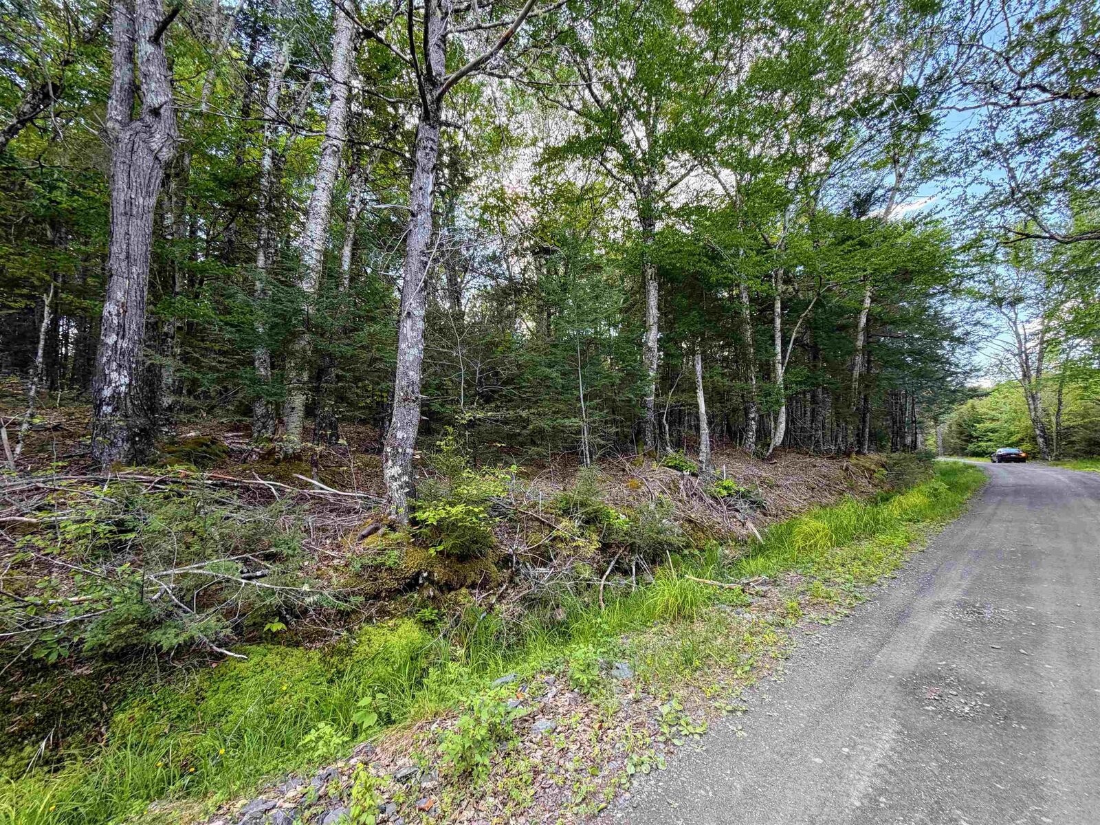 Property Photo:  Lot Old Coach Road  NS B0T 1E0 