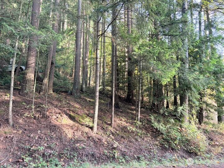 Property Photo:  0 Xxx  Emerald Lake Lot# 122 Way  WA 98226 