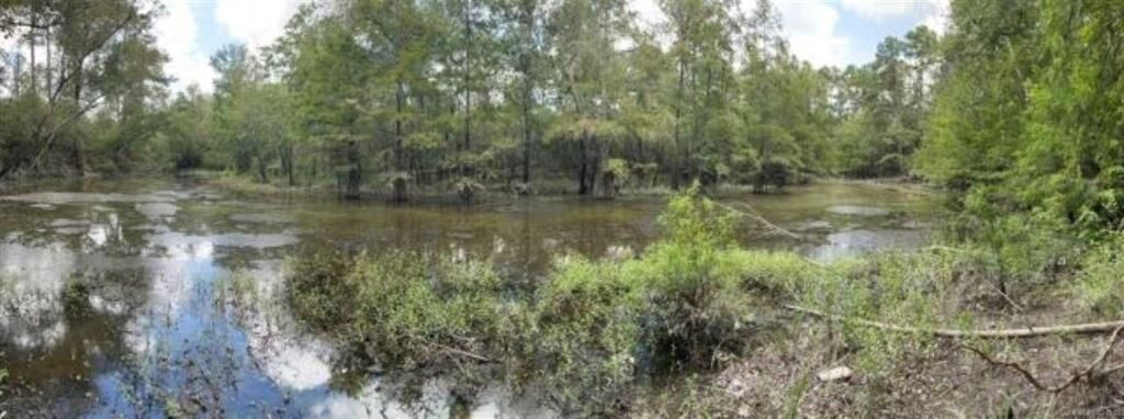 Property Photo: 11818 Willard's Camp Road LA 70654