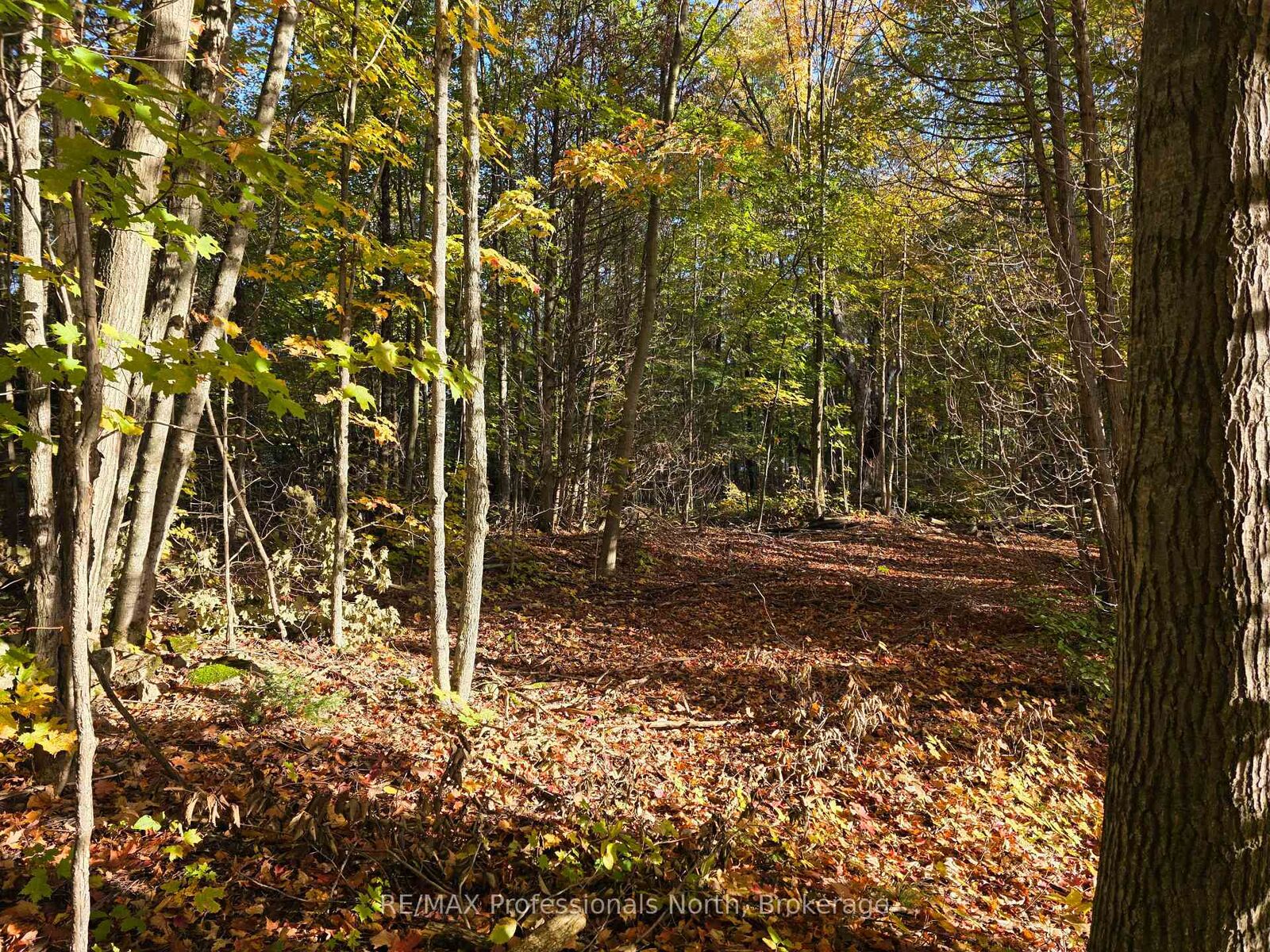Photo de la propriété:  Pt Lt 13 Con 9 35 Highway  ON K0M 2K0 