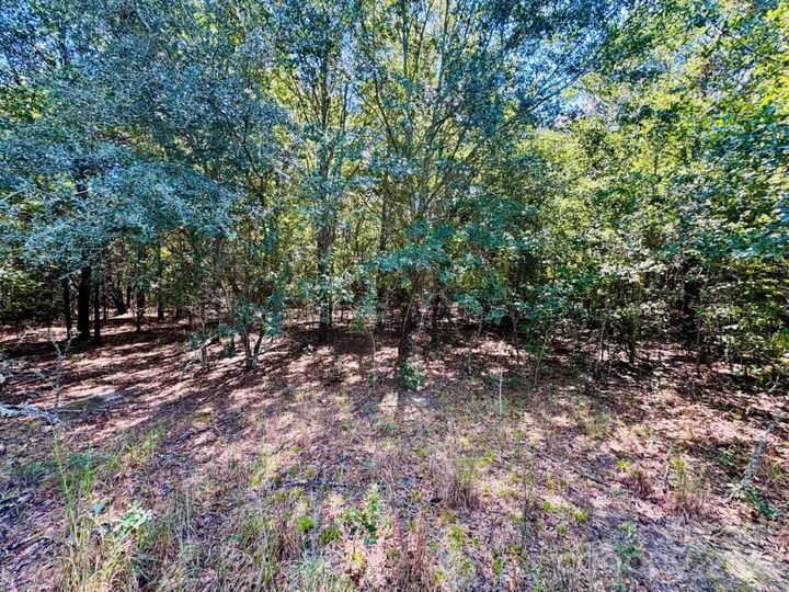 Property Photo: Lot 166 Brangus Lane SC 29520