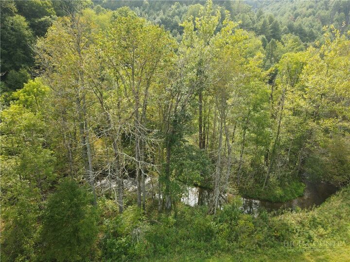 Property Photo:  Tbd US Hwy 19 Highway  NC 28714 