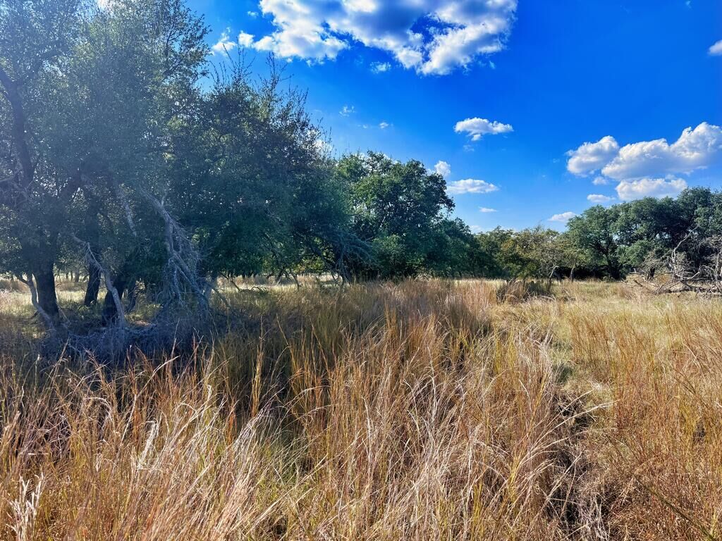 Property Photo: Lot 22 Legacy Oaks Dr TX 78631