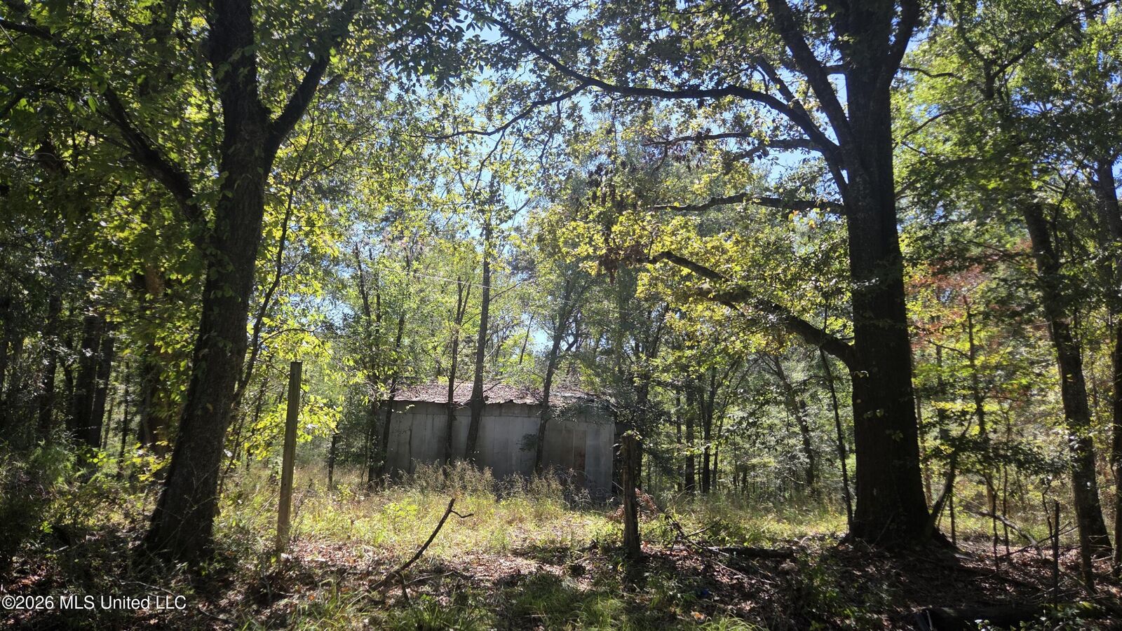 Property Photo: 0 Bill Strong Road MS 39066