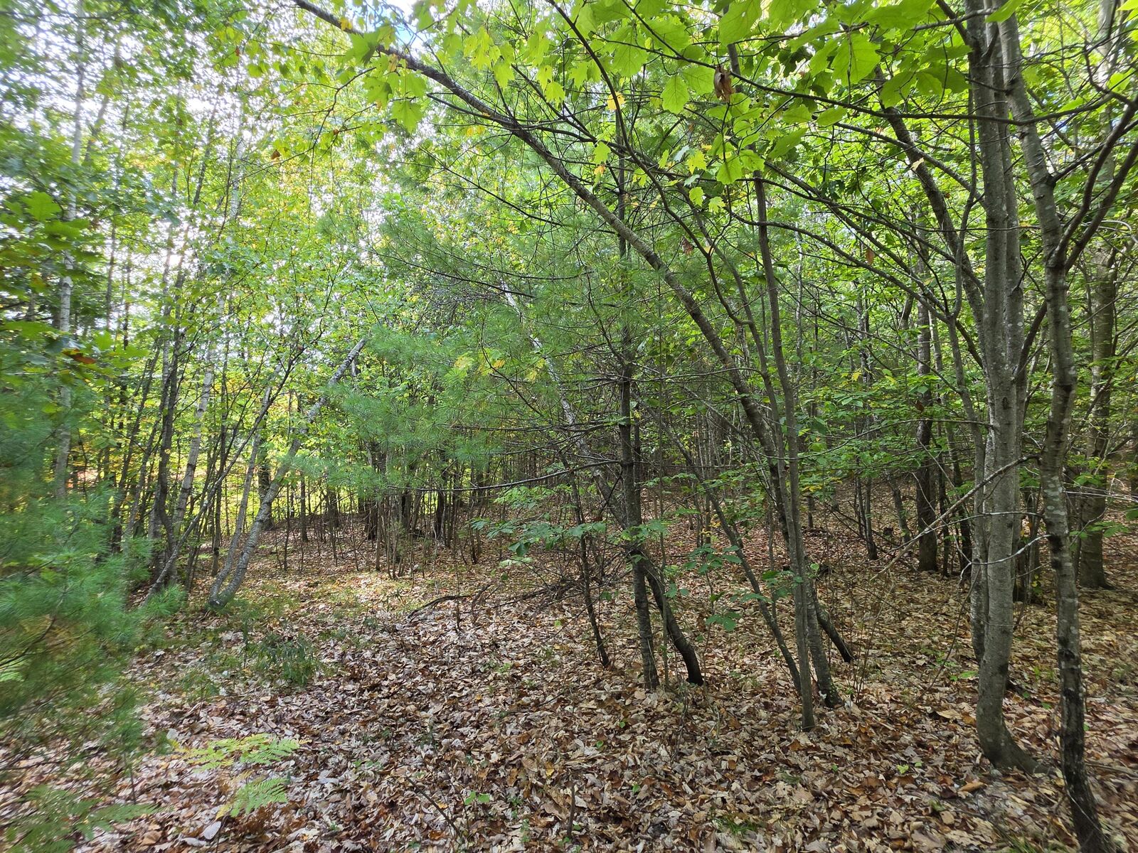 Property Photo:  36 Standish Neck Road  ME 04038 