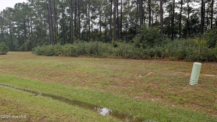 Property Photo: 244 15 Gus Horne Road NC 28445