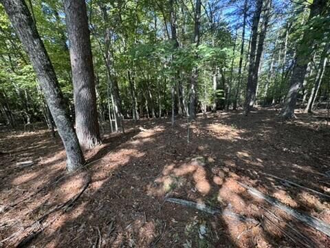 Property Photo: Lot 1 Laurelwood Circle NC 28906
