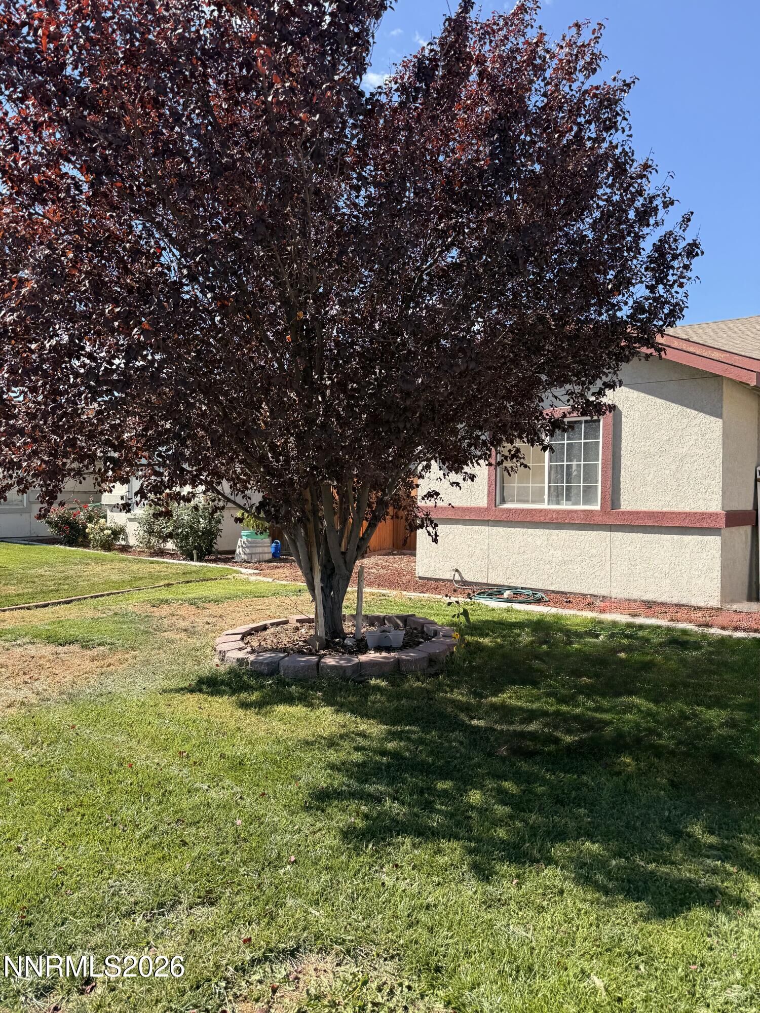 Property Photo: 795 Elkhorn Way NV 89406