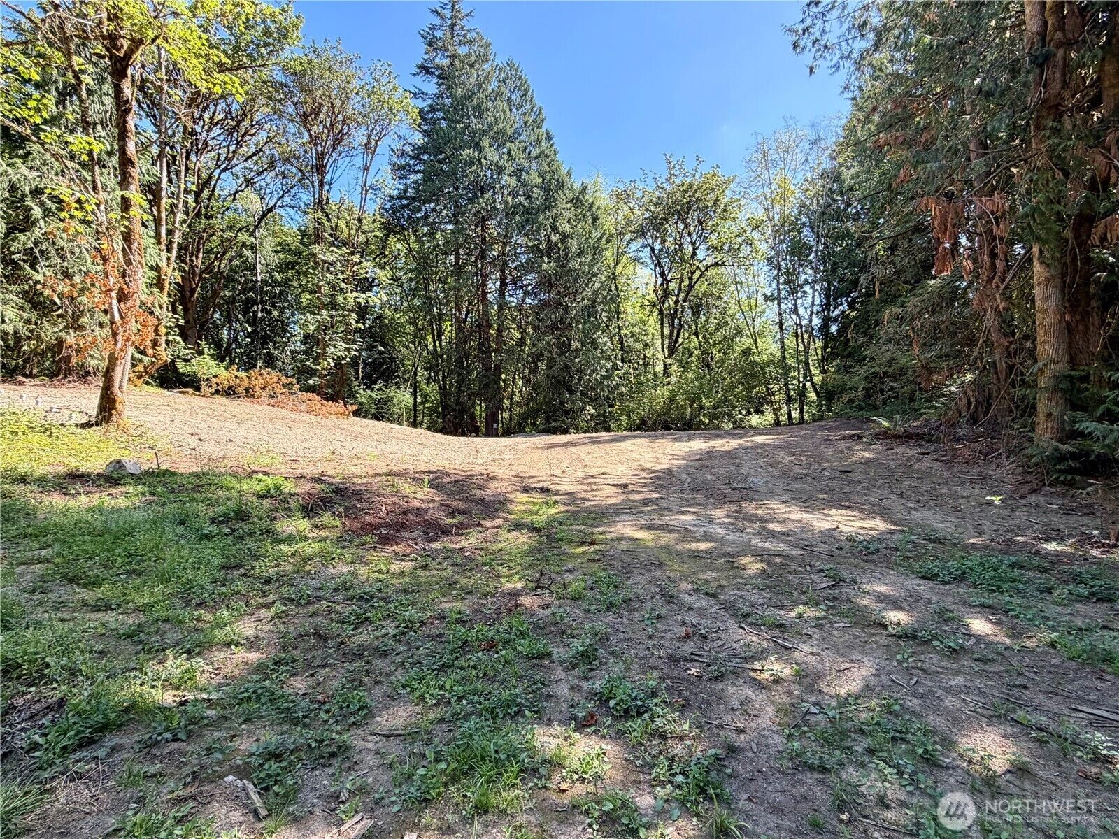 Property Photo: 0 Lot 3 E Emily Lane WA 98584