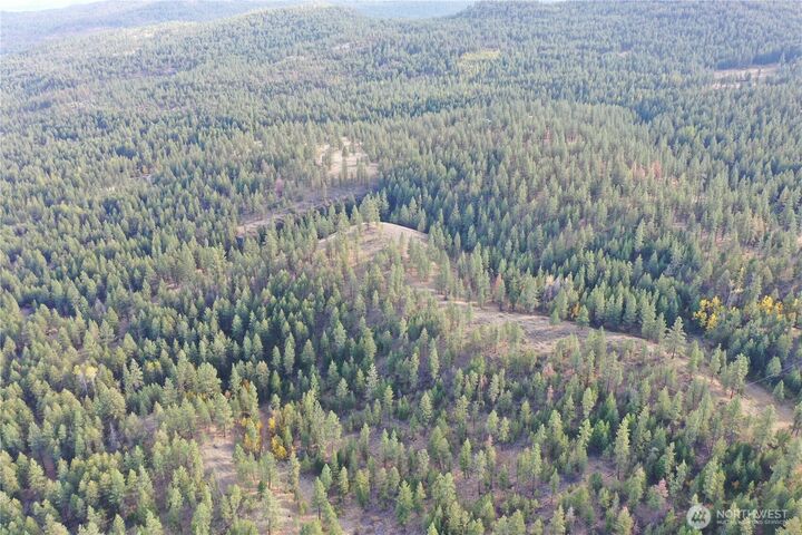 Property Photo:  9  Marmot Alley Road  WA 98855 