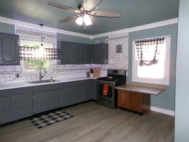 Property Photo:  521 Caroline Street  WI 53545 