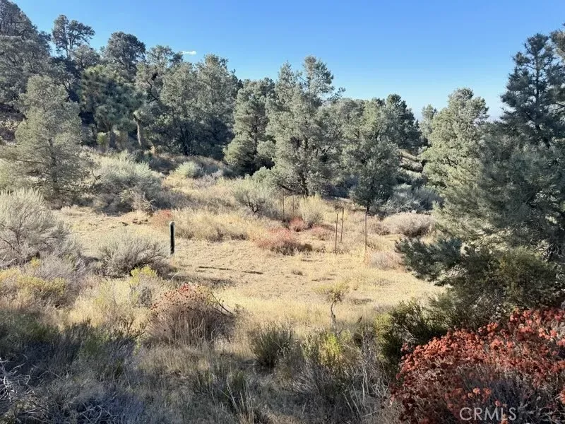 Property Photo: 0 Homeridge CA 92372