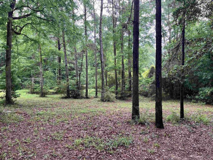 Property Photo:  2994 Custer Lane  TX 77656 