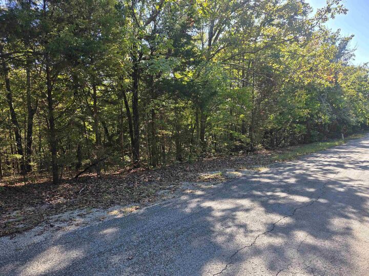 Property Photo:  1007 E Wisconsin Avenue  AR 72512 