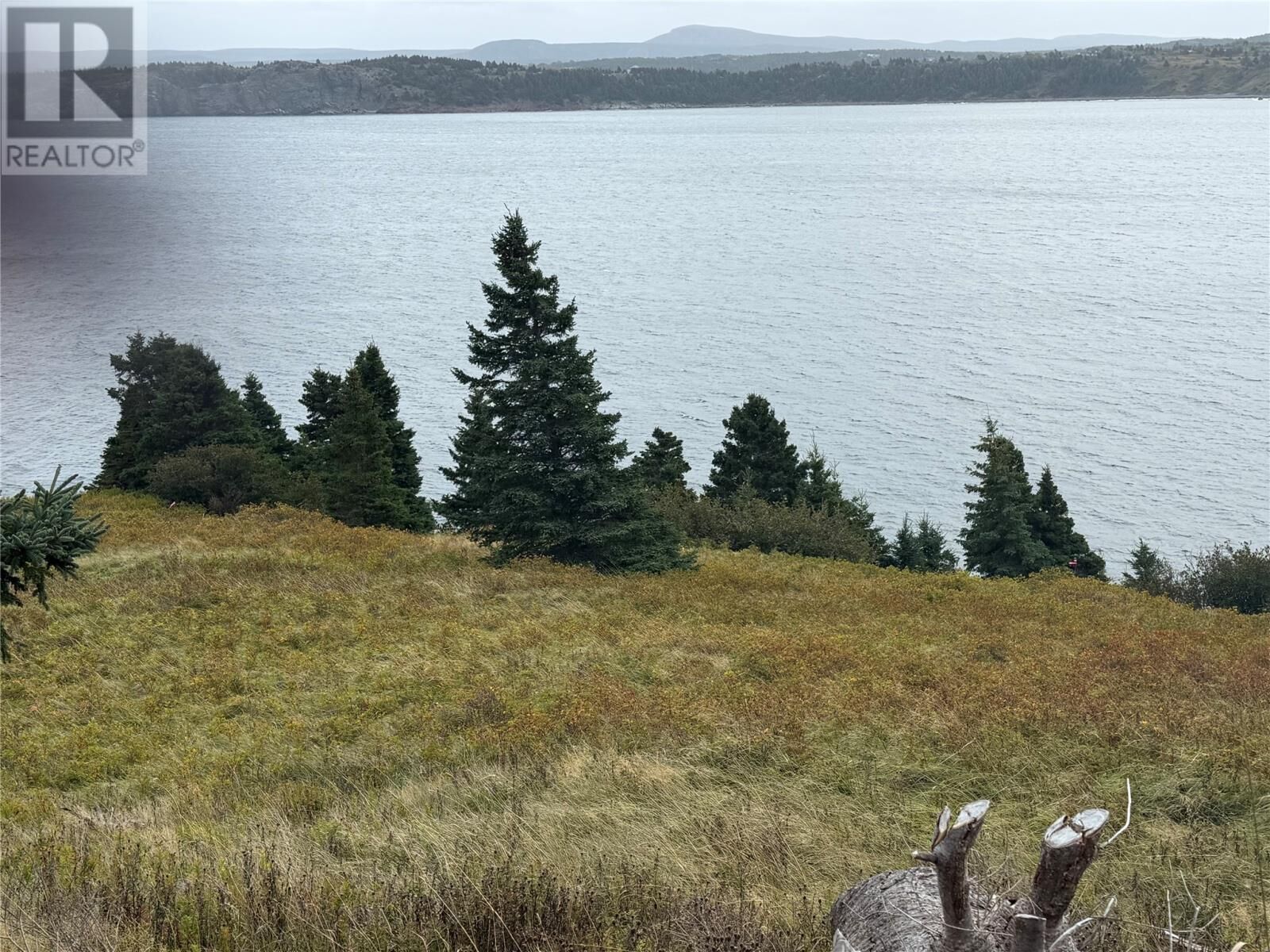 Property Photo:  263A Corporal Jamie Murphy Memorial Drive  NL A0A 2P0 
