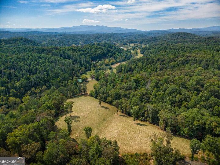 Property Photo: 619 Youngstone Drive GA 30559