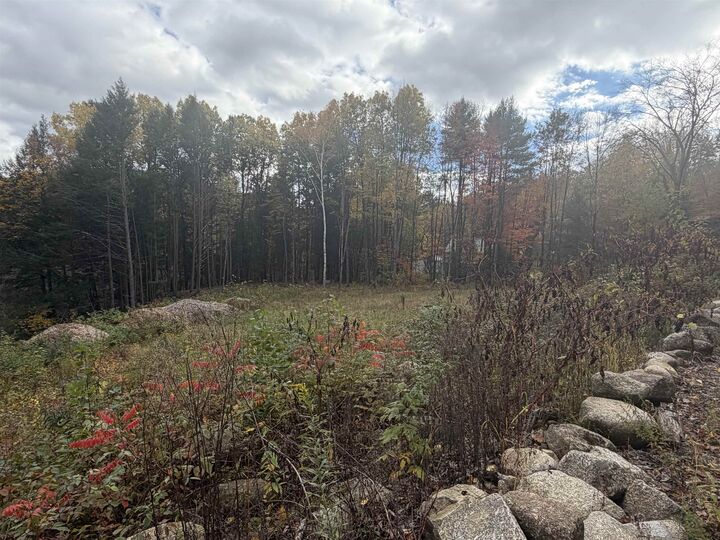 Property Photo: Old Swanzey Road NH 03470