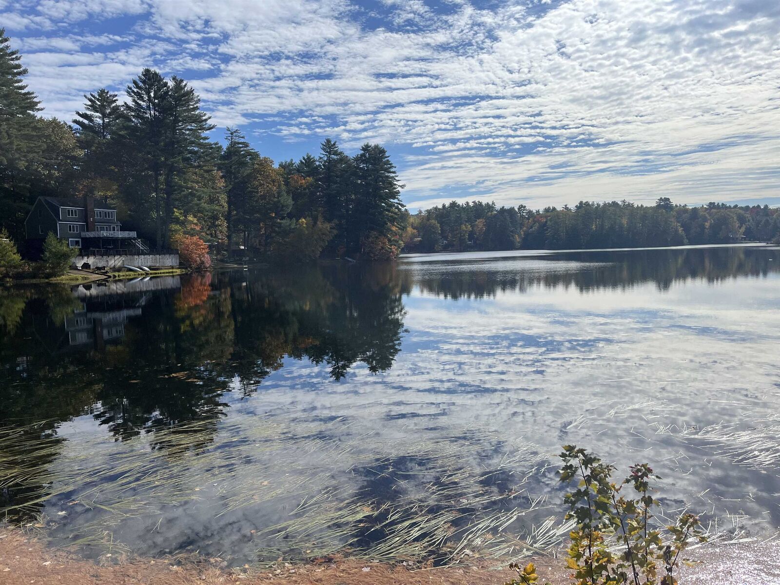 Property Photo:  83 Sargent Lake Road  NH 03220 