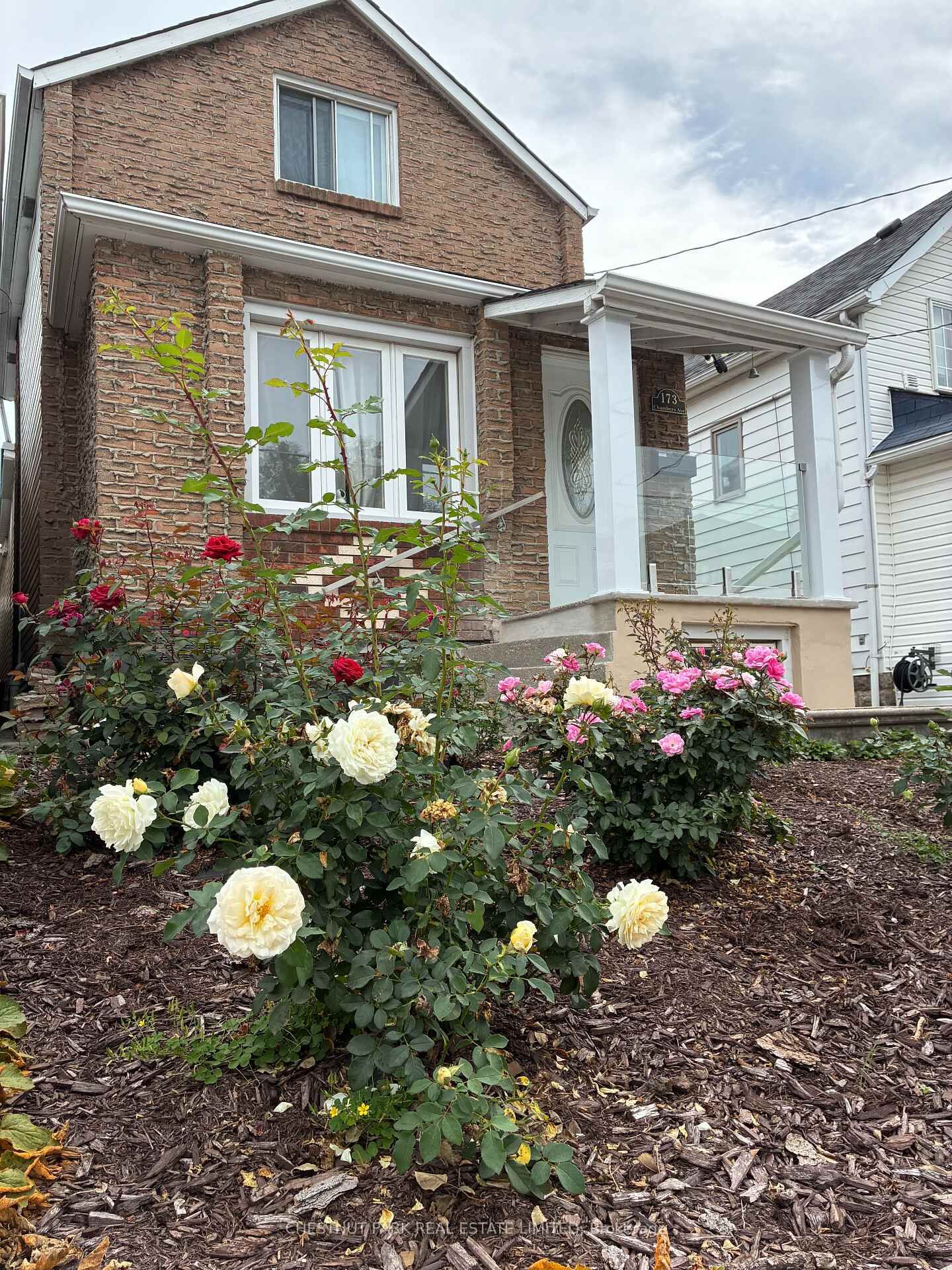 Property Photo:  173 Chambers Avenue Lower  ON M6N 3M5 