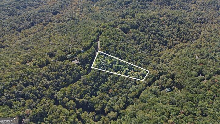 Property Photo:  Lot 17B Amy Creek Circle  GA 30540 