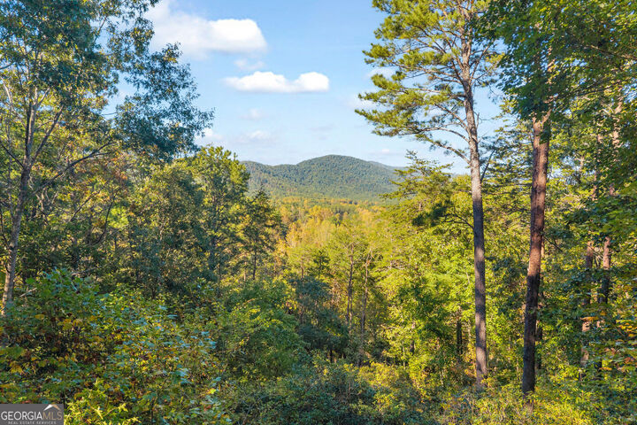 Property Photo:  266 Miners Mountain Road  GA 30571 
