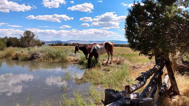Property Photo:  30 Acre Warby Lane Northcreek  UT 84713 